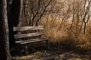 Tyč Na Bench Press